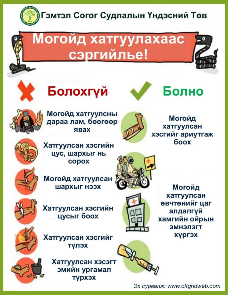 Гэмтэл зөвлөмж